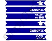 INSTANT DOWNLOAD- Class of 2014 Graduation PartyPrintables- Paper Straw Flags, Printables,Die Cuts, tags, Invitations, Cards, Digital Frames Il_170x135