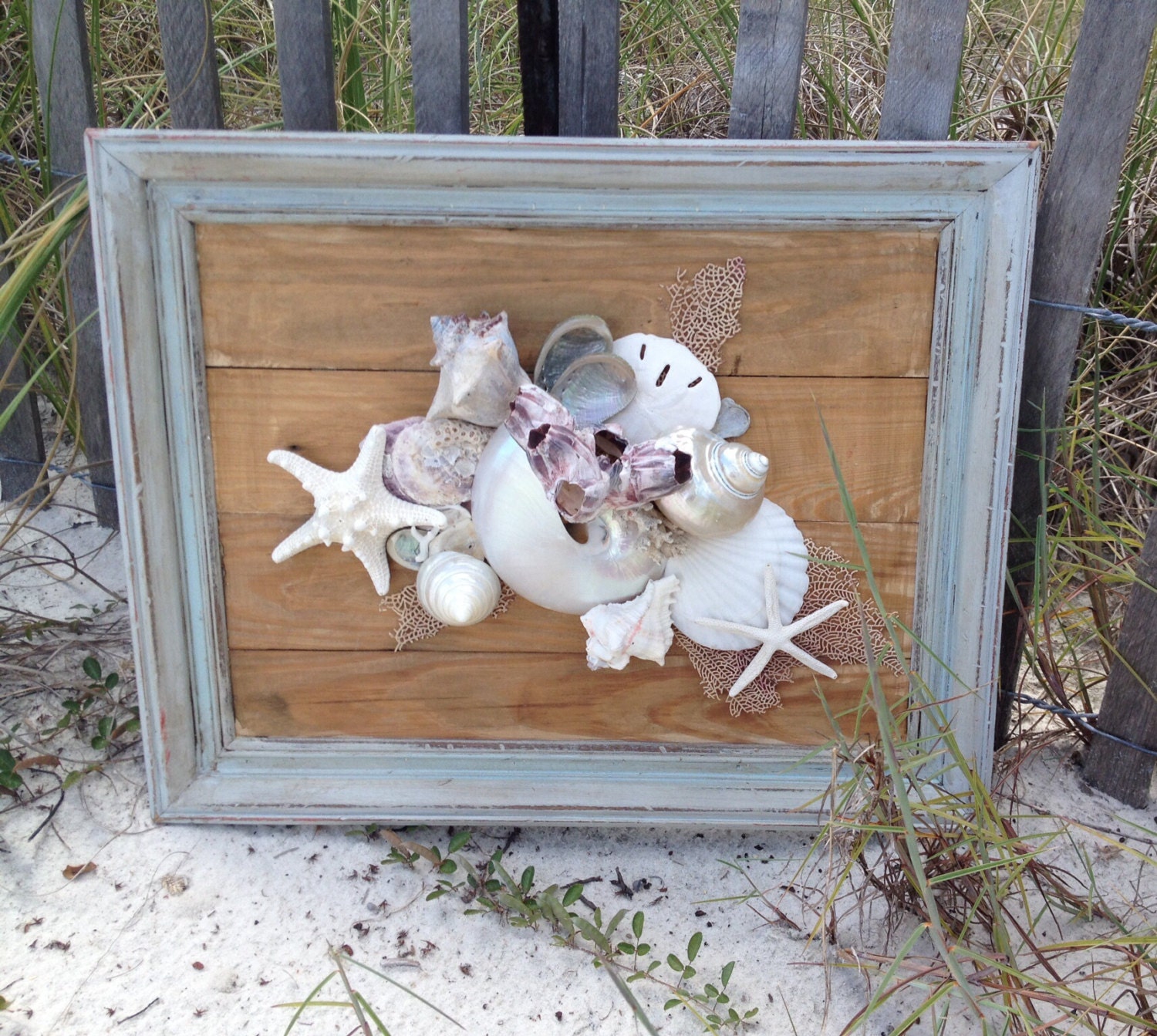 Seashell Framed Wall Art/Reclaimed Wood Seashell Art