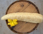 Homegrown Organic Loofah Sponge for cleaning bath or pet toy use!