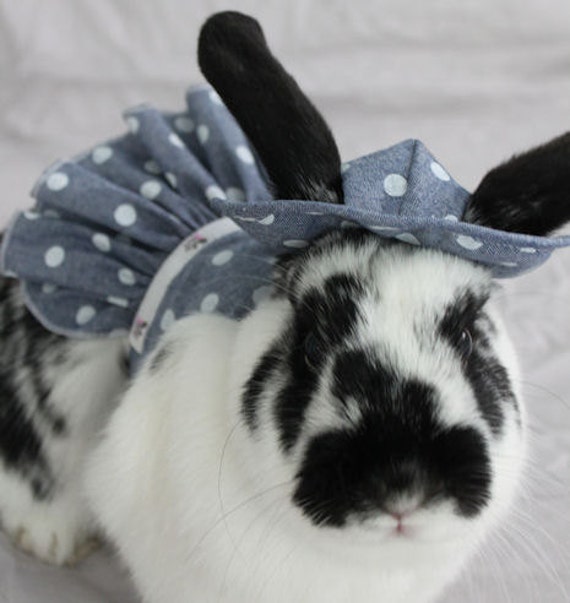 Bunny harness dress hat and matching leash . Made by turvytopsy