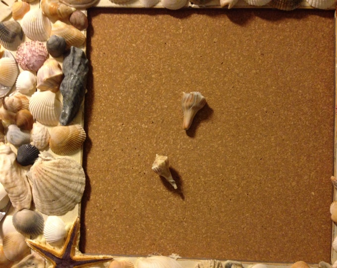 Wood Base - Bulletin Board, Picture Frames and Hooks Decorated with Shells