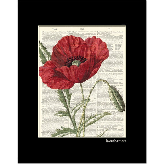 Poppy Vintage Illustration Dictionary Art Print Book