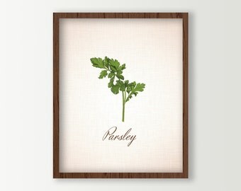 decor parsley wine