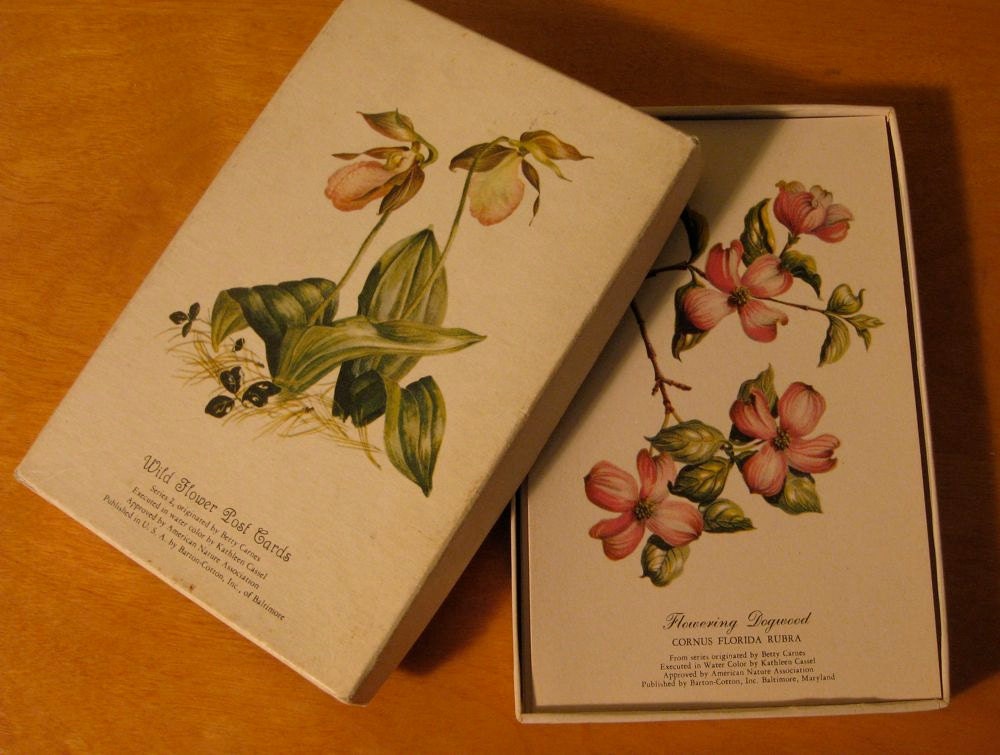 Vintage Retro Floral Box Of Postcards Barton Cotton Inc Betty