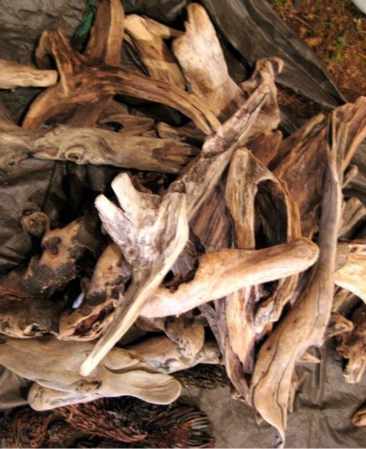 Driftwood 20 Beautiful Pieces 5 to 12 inches long Bulk