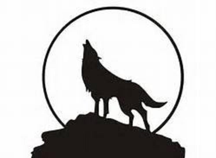 Window Decal / Wolf Decal/Wolf/ Wolf Window by Adsforyou on Etsy