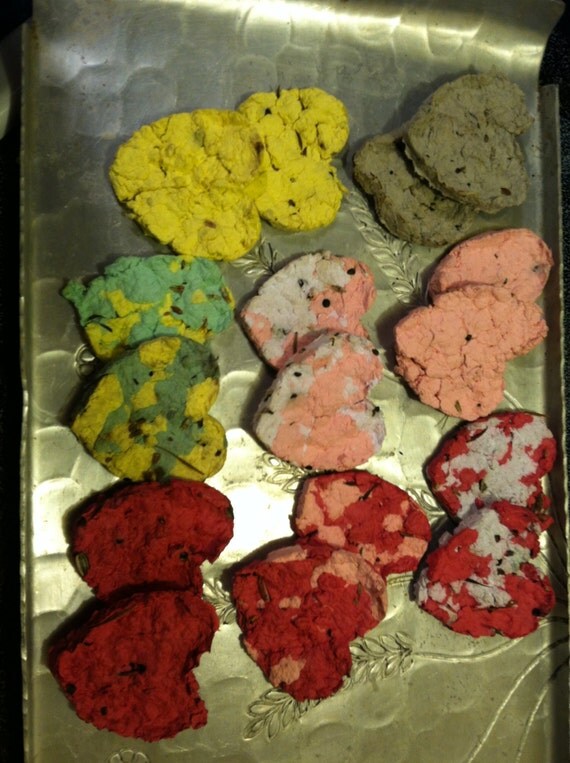 Seed Bombs Northeast Wildflower 3 Heart Shaped 3