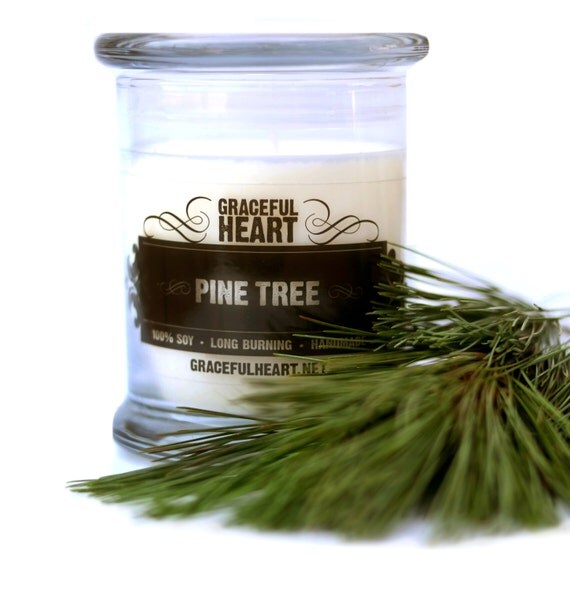 Pine Tree Soy Candle Soy Container Candle by GracefulHeartCandles