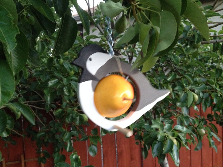 Chickadee bird feeder Fruit Feeder Suet Feeder by abirdthing