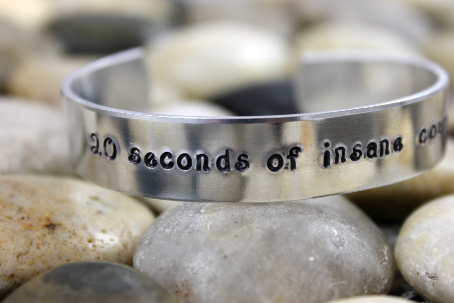 Resultado de imagen para 20 seconds of courage