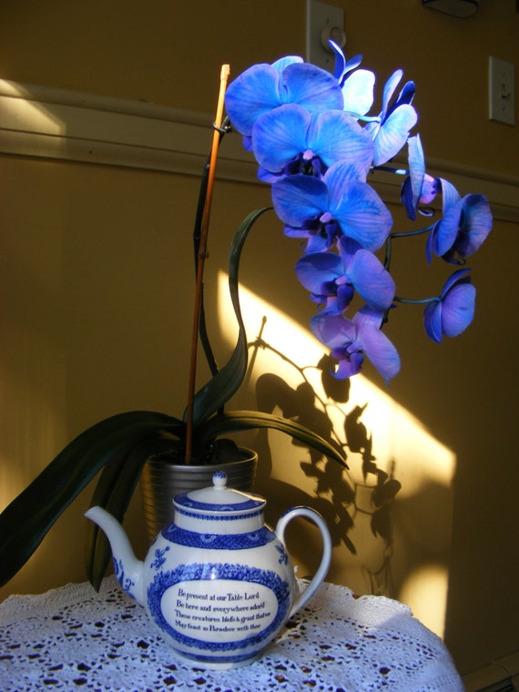 Wedgwood ' John Wesley 'Blessings' Teapot'