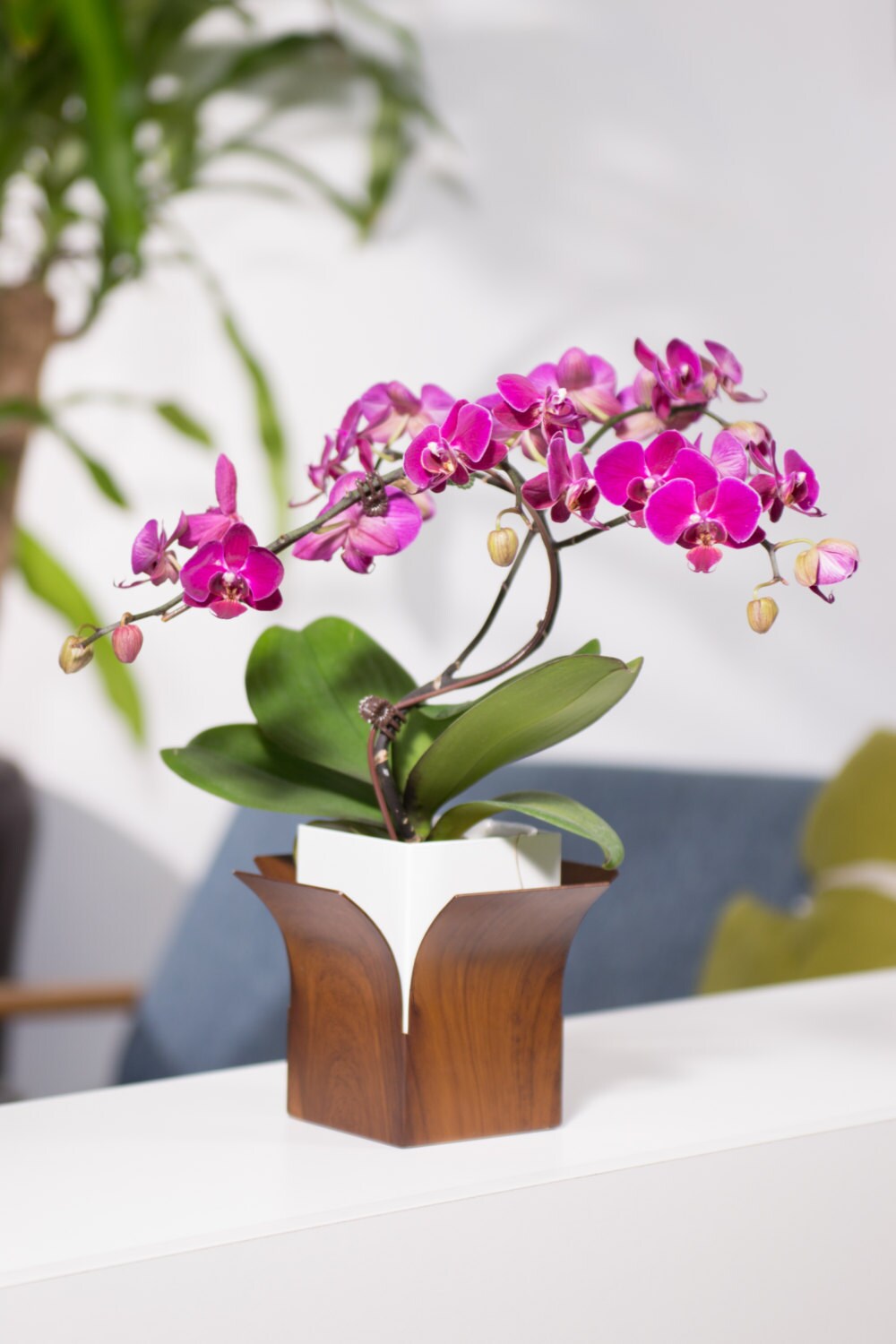 Iron Lotus Flower Vase decor flower green gift creative