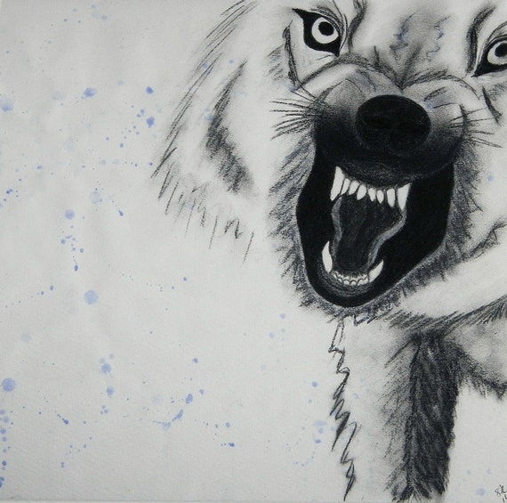 Snarling Wolf Art Print