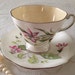 E B Foley China Tea Cup & Saucer Crocus Ixia