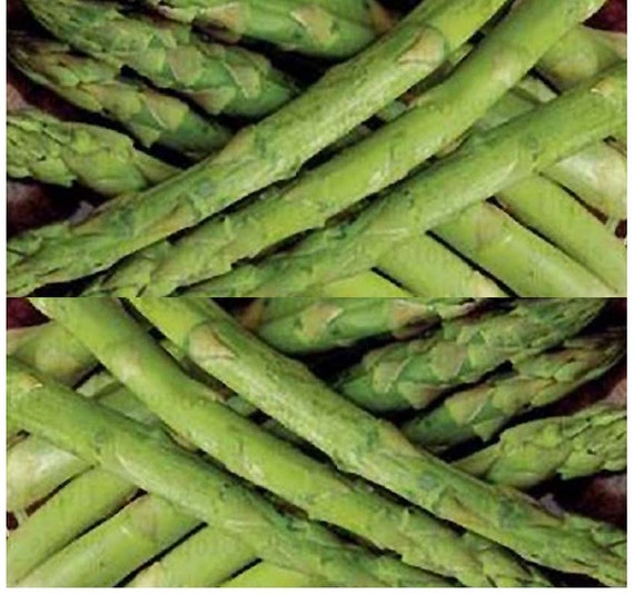 UC 157 F2 Asparagus seeds Green Asparagus Out yield open
