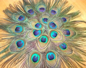 Sale !!16 inch Beautiful Peacock Feather Centerpiece Mat/placemat