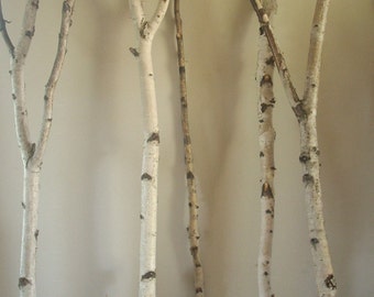 Popular items for birch poles on Etsy