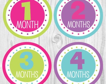 FREE GIFT Baby Girl Monthly Stickers, Baby Monthly Stickers, Monthly Baby Stickers, Girl Monthly Sticker, Baby Month Sticker