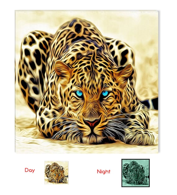 Leopard Fantastic Canvas Wall Art, 5 Stars Gift Startonight  Home and Kitchen Decor