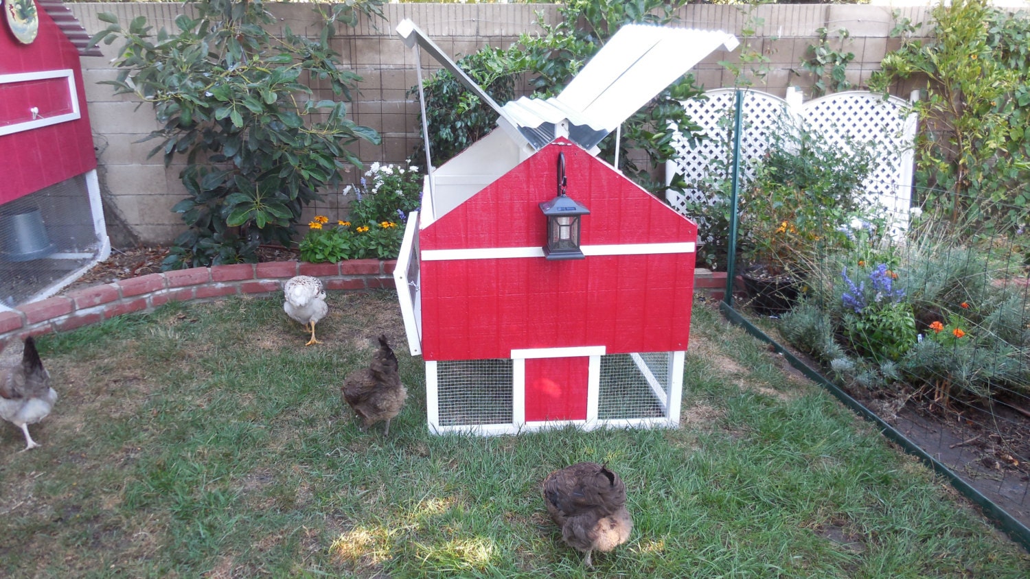 Easy Clean Chicken Coop