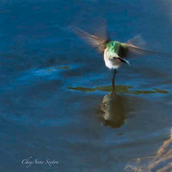 items similar to dancing hummingbird drinking water items similar to dancing hummingbird drinking water