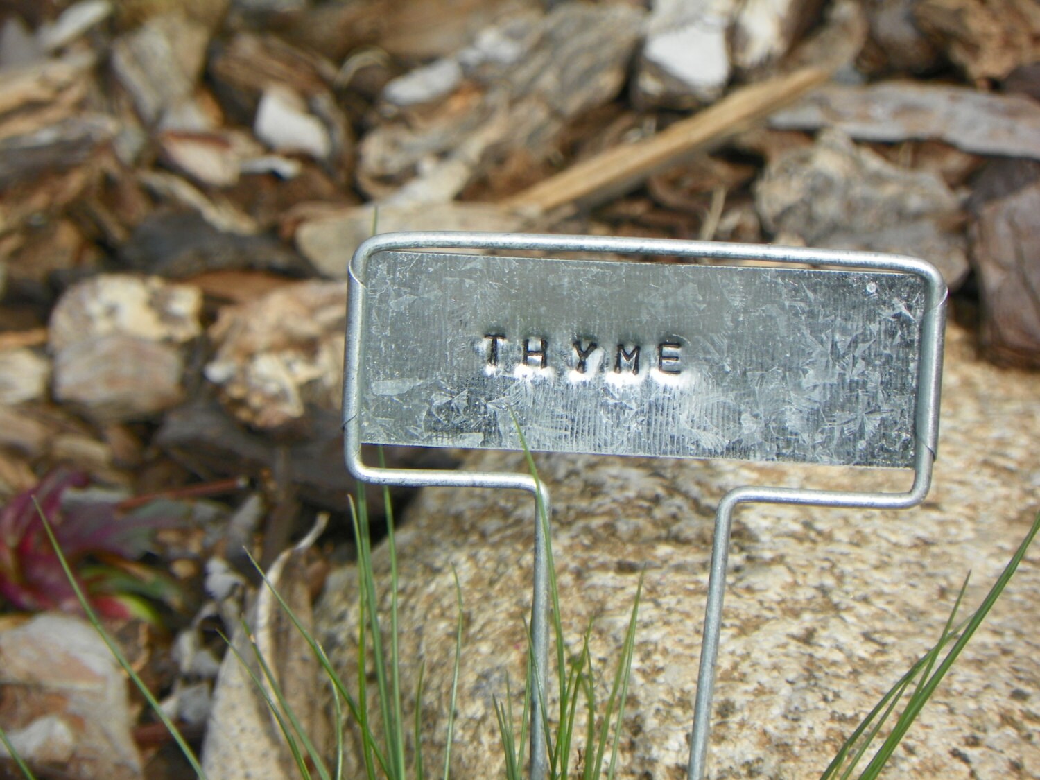Thyme Metal Plant Marker
