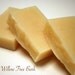 Willow Tree Bark Avocado & Jojoba Soap