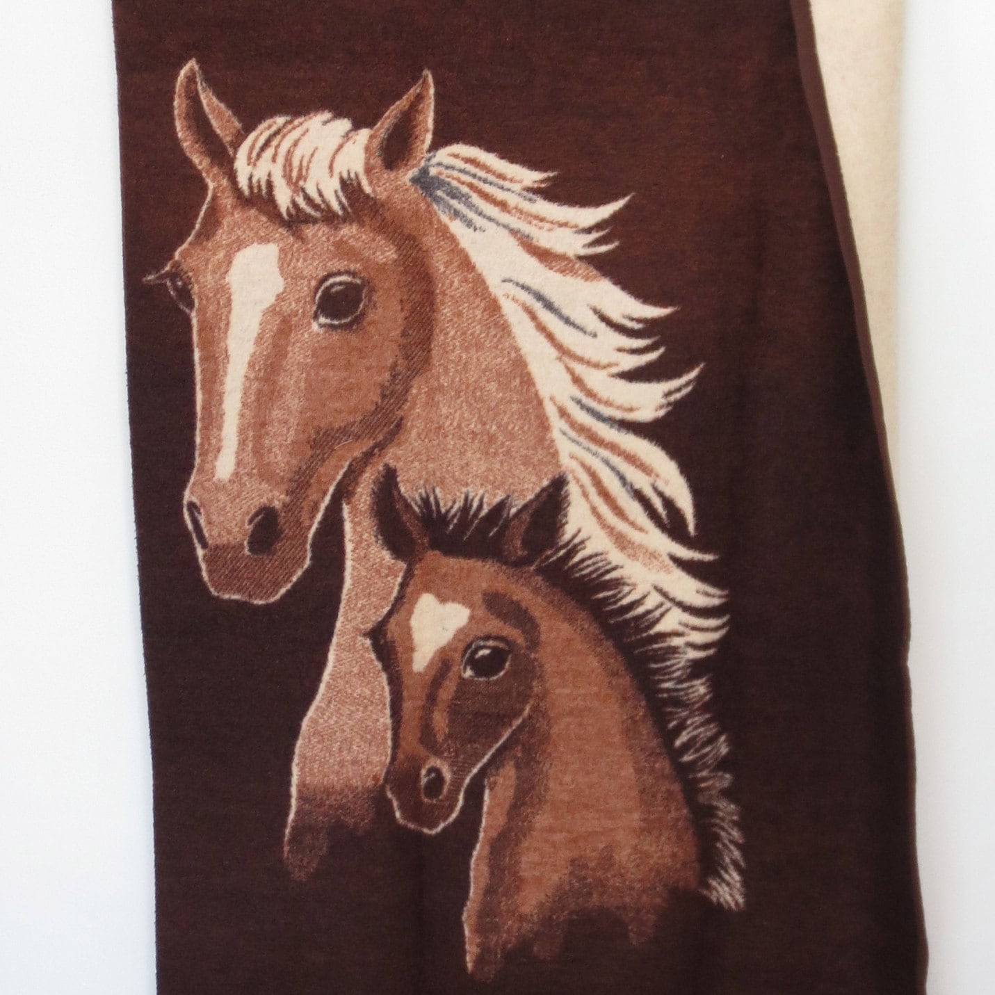When Should You Blanket An Old Horse at Katharine Ray blog