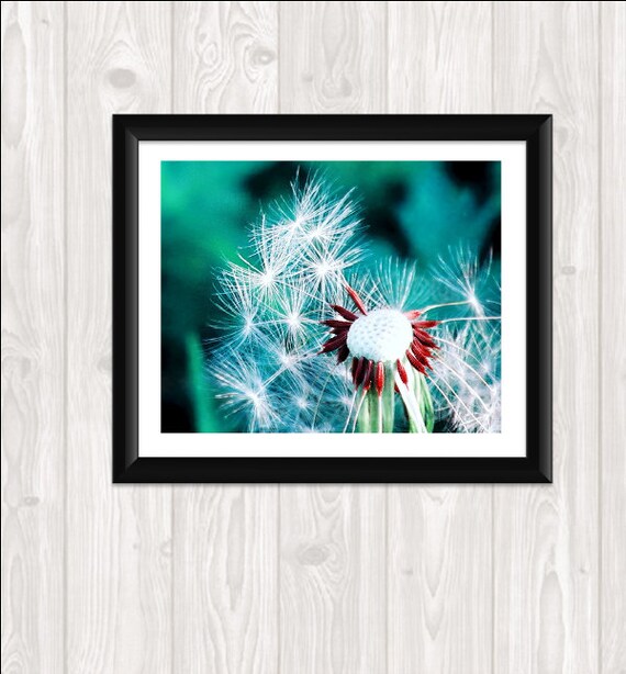 Dandelion Macro Photography Print Your Own Fine Art  Photo Nature Photography Home Decor Wall Art  8 x 10 Mint Dandelions "Fly Away a Wish"