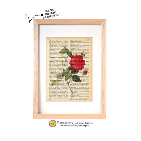 Items similar to Red rose dictionary print N04rose art printgarden