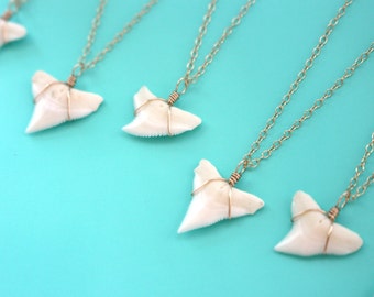 Genuine Shark Tooth Necklace, Gold Shark Tooth Jewelry, Real Shark Tooth Pendant, Delicate Gold Necklace, Real Shark Tooth Necklace