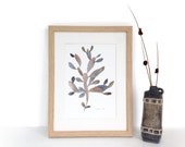 Watercolor painting print - Brown seaweed naturalist art illustration, modern coastal decor - Fine art print