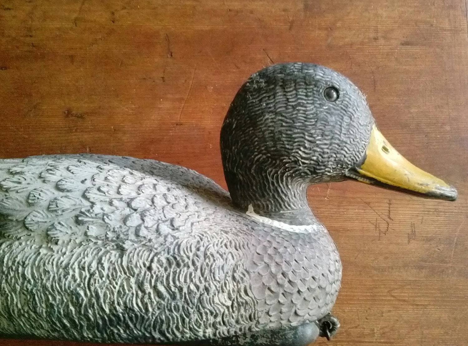 Mallard Duck Decoy Italian Made Mallard Drake Decoy Italian