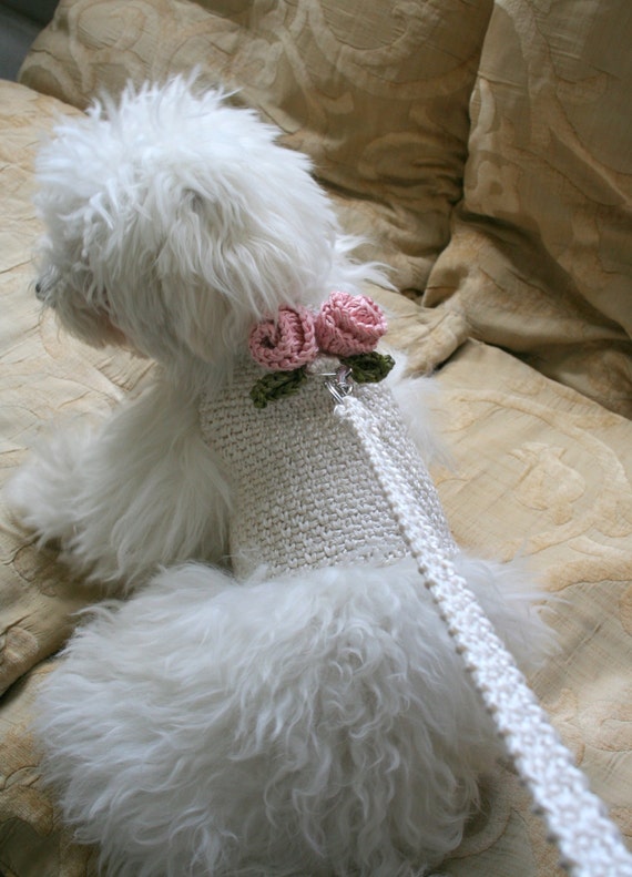 Dog harness Pet Wedding Dog accessories // Maltese Yorkie Chihuahua