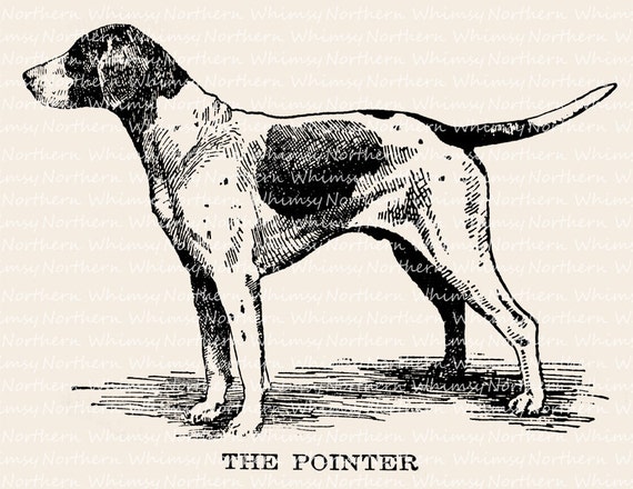 vintage dog clip art - photo #27