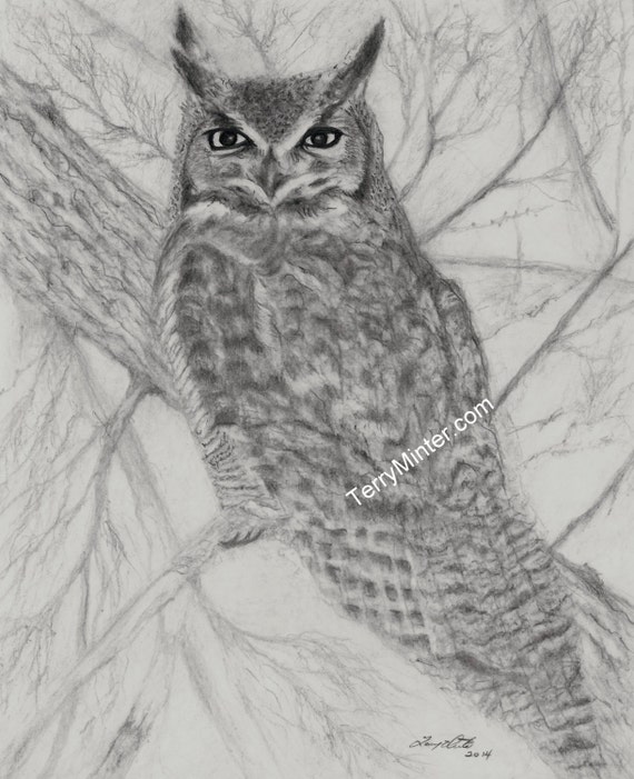 Pencil drawing print Great Horned Owl on a tree by ...