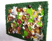 Mixed Media Hand Made Moss Decor__Dried Fruits_Wall Art Decor_Moss Painting_Dried Moss design_Original Design_Forest Bounty_Green Forest Mixed Media Hand Made Moss Decor__Dried Fruits_Wall Art Decor_Moss Painting_Dried Moss design_Original Design_Forest Bounty_Green Forest
