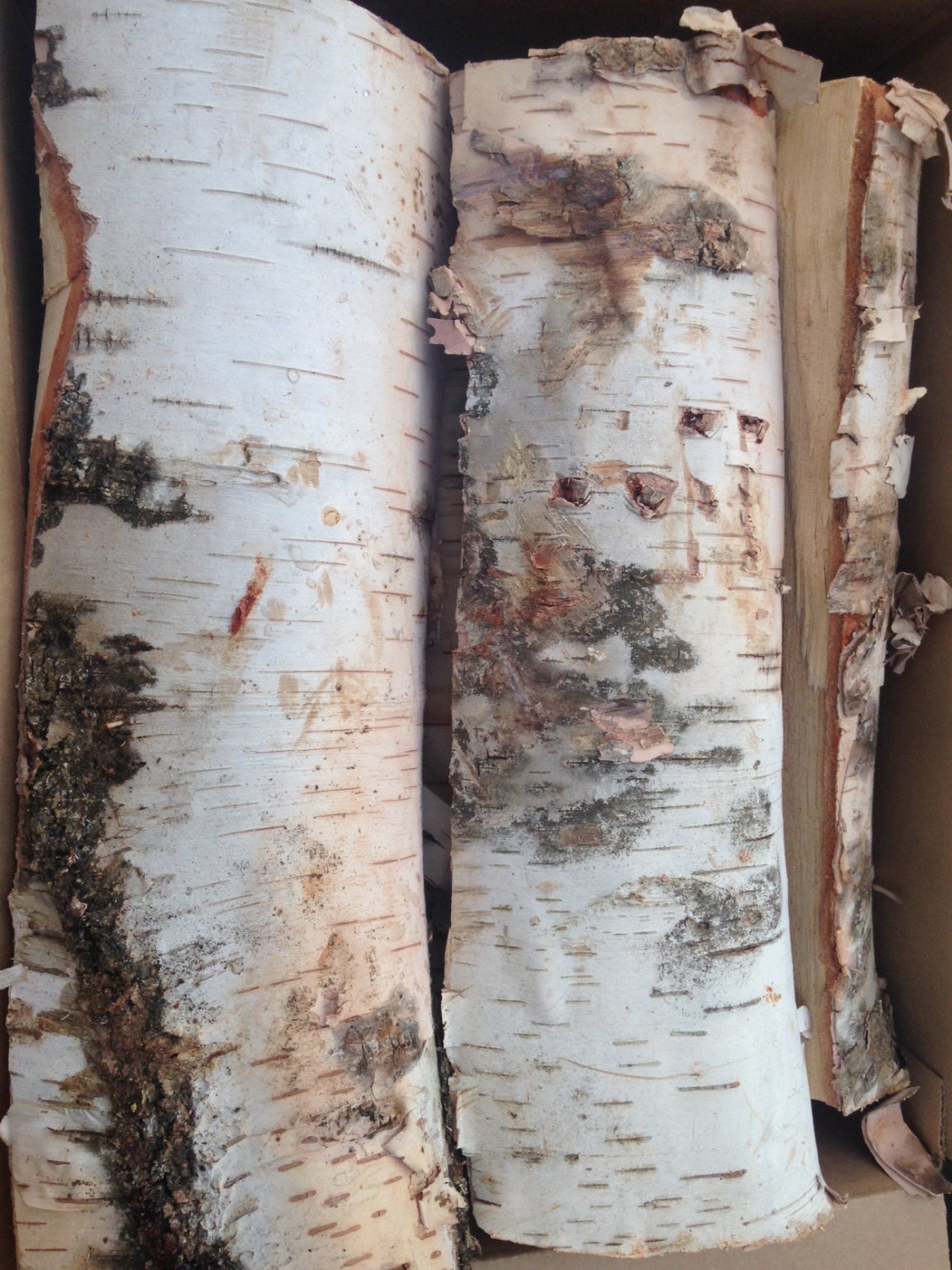 Kiln Dried Split White Birch Firewood