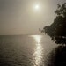 Patricia Troxell