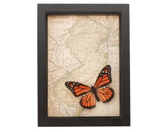 Framed Map New Jersey with Monarch Butterfly Art