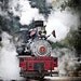 The Antique and Vintage Peddlers