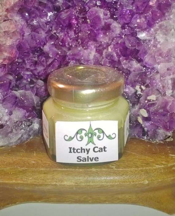 Itchy Cat Salve 1.5 ounce natural herbs by uniquevisionsbyjen