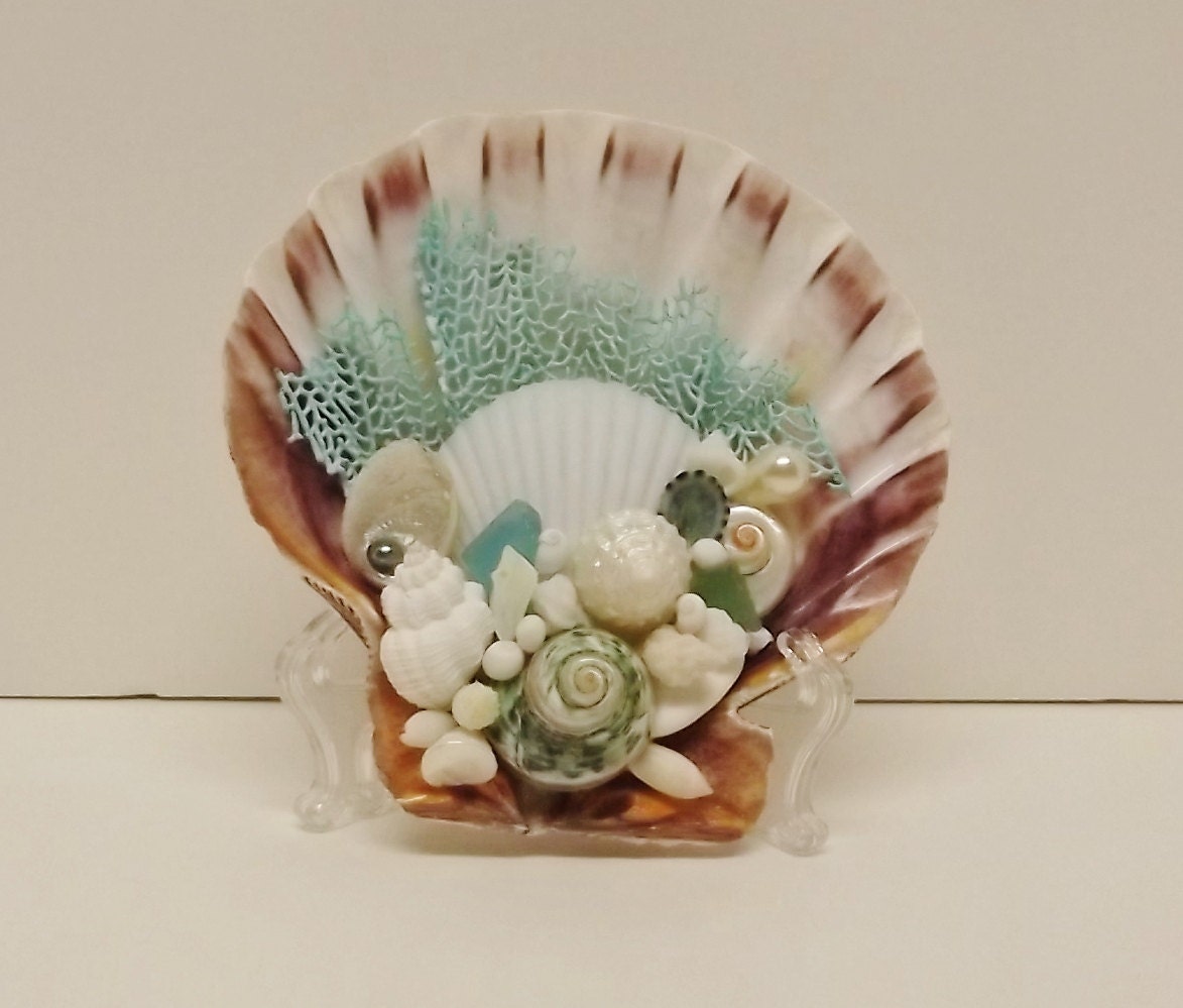 coastal beach decor seashell coral table decor coastal beach decor seashell coral table decor