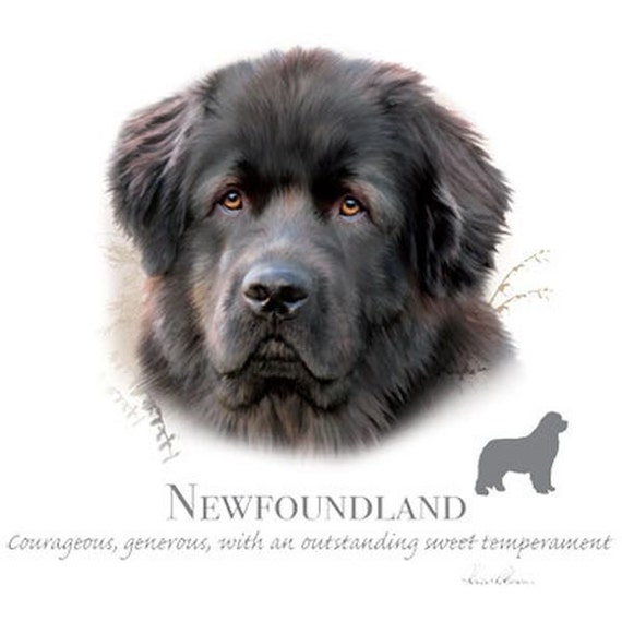 newfoundland dog clipart - photo #31