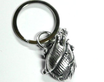 Anatomical Human Heart Locket Key chain, Human Heart Key chain, Anatomy key chain, key chain in the shape of an anatomical heart, Valentine
