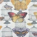 Butterflies Fabric, Birdcages Fabric, Butterfly Revolution, Fancy Free, Susan Winget, By the Yard