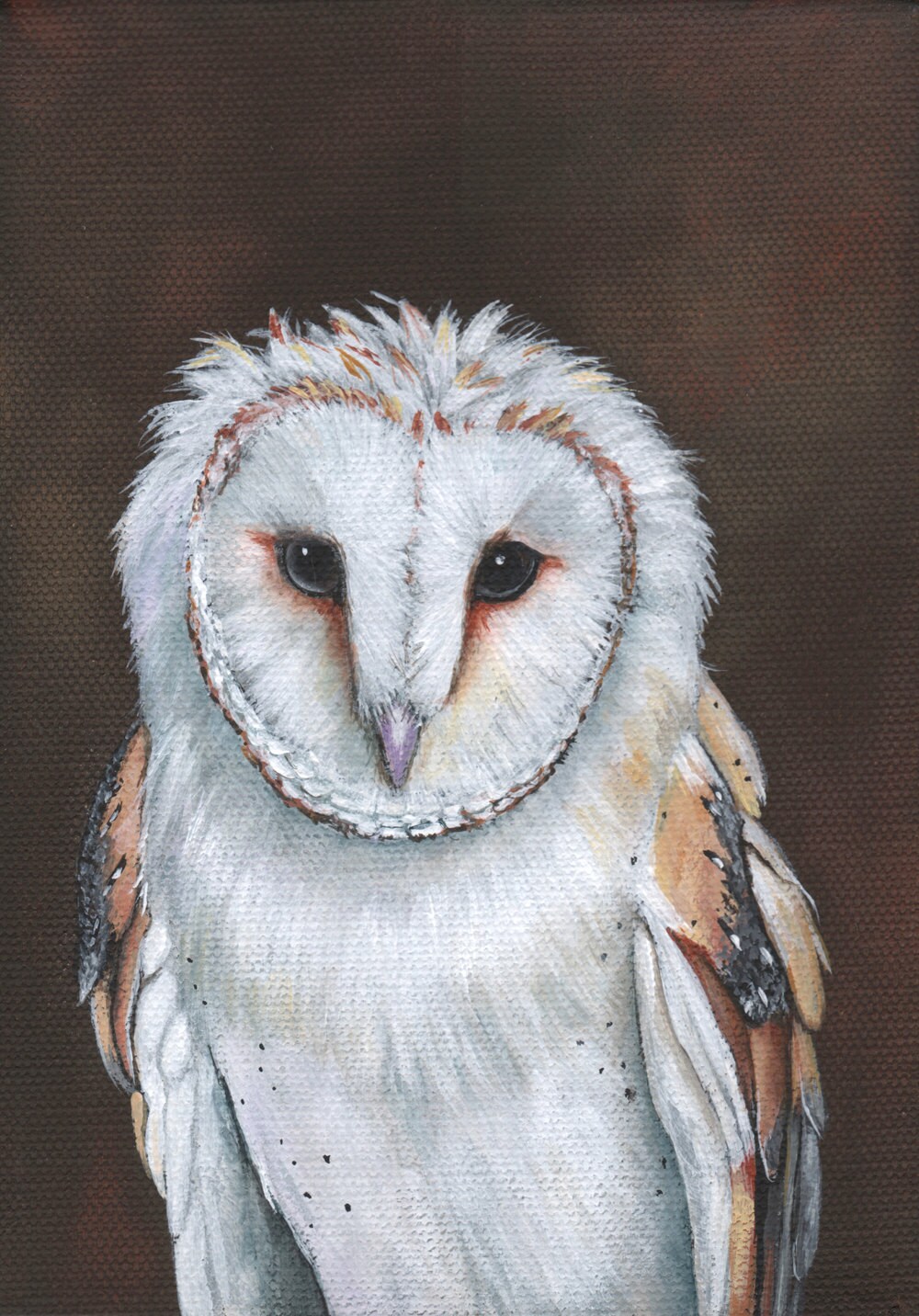  Owl painting  PRINT of Owl painting  A4 print Bird Art BO4215