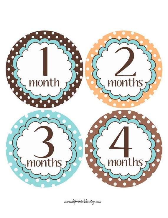 Monthly Age Stickers Baby Stickers First Year Stickers New