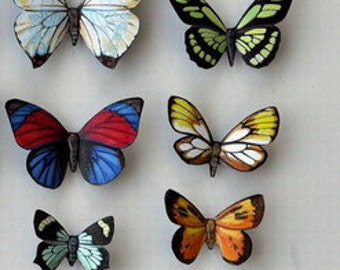 Butterfly Moth Magnets Set of 12 insects Refrigerator Magnets Handmade Educational