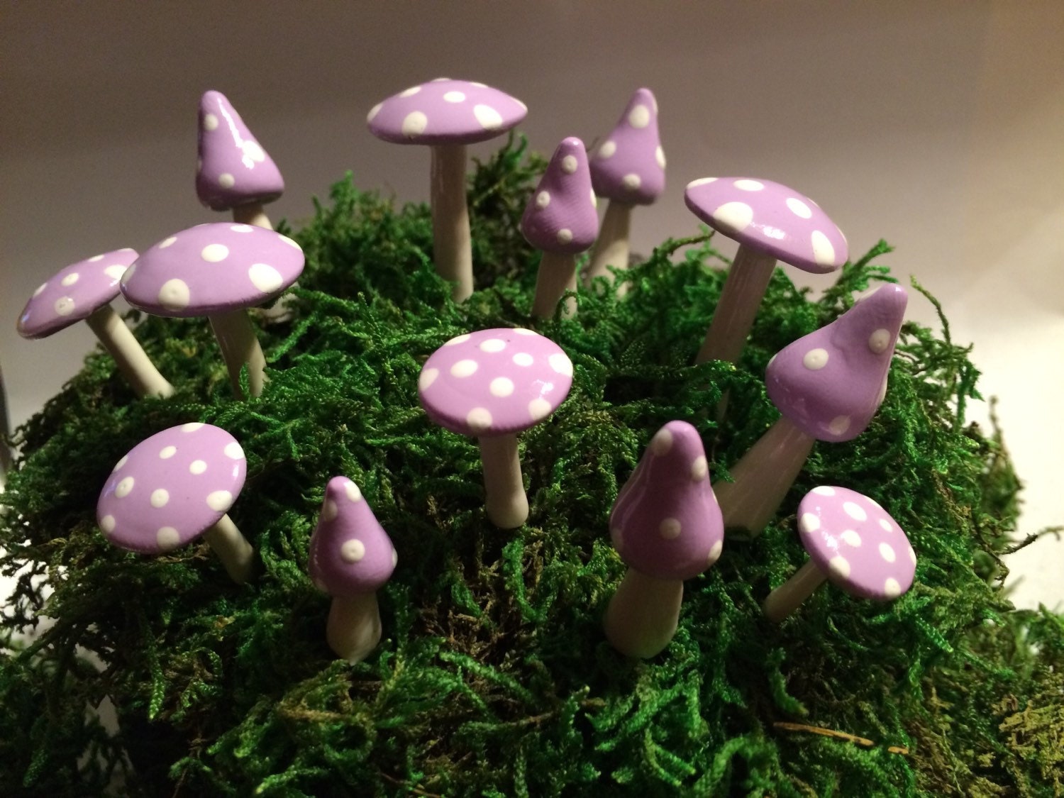 Fairy mushroom ring assorted sizes and shapes 13 pieces